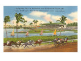 Race Track  Hollywood  Florida