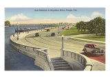 Bayshore Drive  Tampa  Florida
