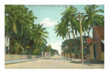 Street Scene  Key West  Florida