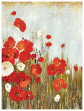 Poppies in the Wind
