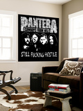 Pantera