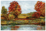 Meadow Reflections