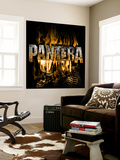 Pantera