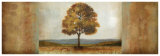 Elusive Treescape II