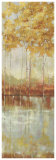 Reflections I