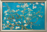 Almond Branches in Bloom  San Remy  c1890