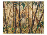 Bamboo Forest I