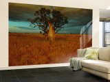 A Boab Tree