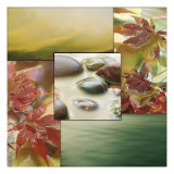 River Rocks I