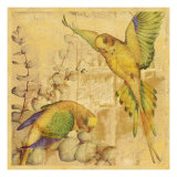 Songbirds II