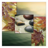 River Rocks II