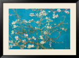 Almond Branches in Bloom  San Remy  c1890