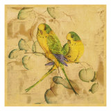 Songbirds I