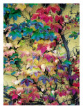 Variegation of the Vines II