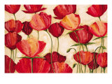 Poppy Field II