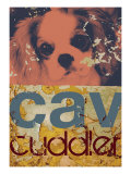 Cavalier Cuddler
