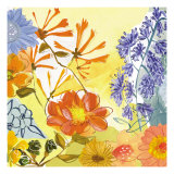 Summer Sun II