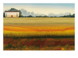 Tuscan Memory I
