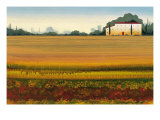 Tuscan Memory II