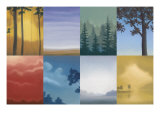 Trees and Misty