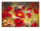 Meadow Poppies I