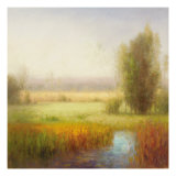 Serenity Marsh II