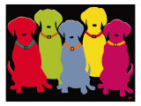Five Labs