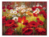 Meadow Poppies II
