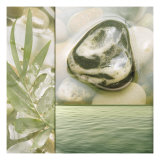Zen Elements IV