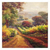 Vineyard Way