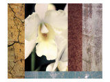 Tropical Whites I