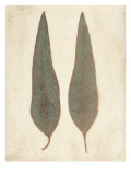 Two Leaves