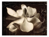Garden Journal I