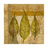 Nature Study II
