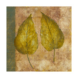 Nature Study III