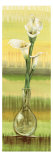 Calla Lilies