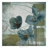 Cerulean Poppies II