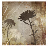 Algarve Silhouettes II