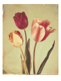 Spring Color II