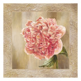 Pivoines II
