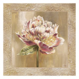 Pivoines I