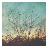 Wild Grass II
