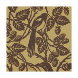 Bird Song IV