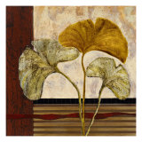 Urban Ginkgo I