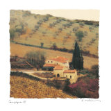 Campagna III