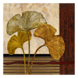 Urban Ginkgo II