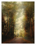 Road of Mysteries II