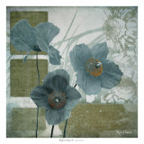Cerulean Poppies I