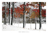 SnowFall