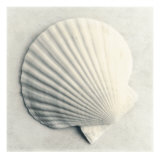 Sea Shapes II